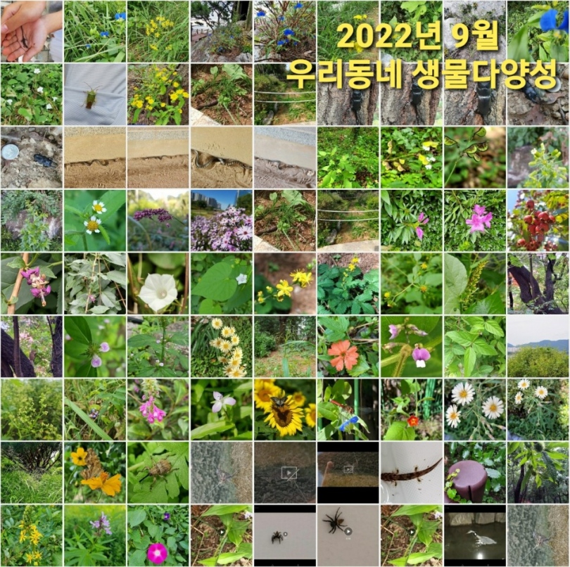 bbb2355887aeec0c7801edb597402dd8_1664846284_8426.jpg